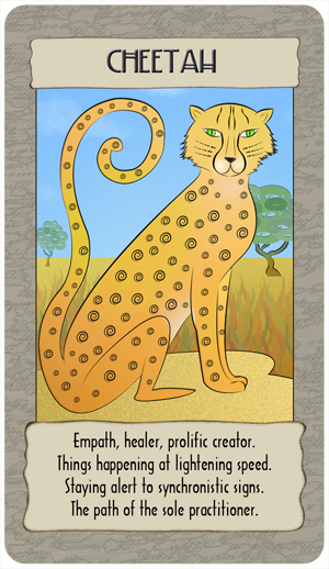 cheetah_GC copy.jpg
