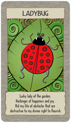 lady_bug_GC copy.jpg